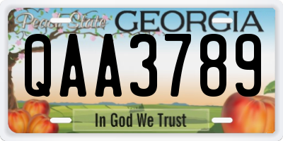 GA license plate QAA3789