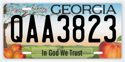 GA license plate QAA3823