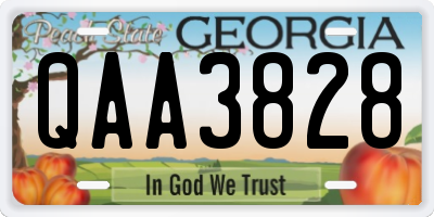 GA license plate QAA3828