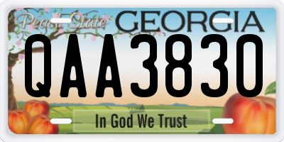 GA license plate QAA3830