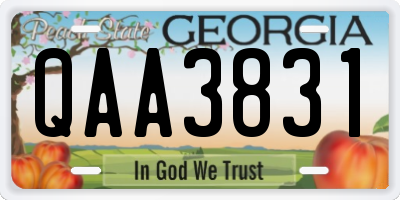 GA license plate QAA3831