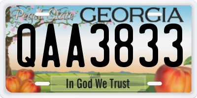 GA license plate QAA3833