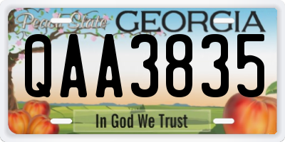 GA license plate QAA3835