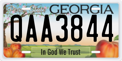 GA license plate QAA3844