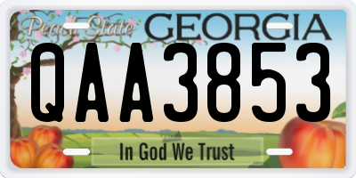 GA license plate QAA3853