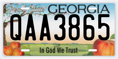 GA license plate QAA3865