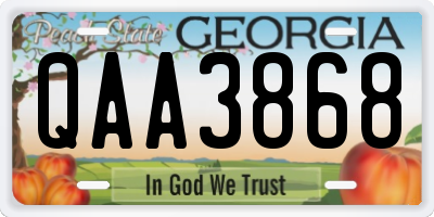 GA license plate QAA3868