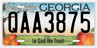 GA license plate QAA3875