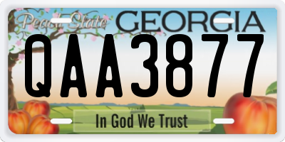 GA license plate QAA3877