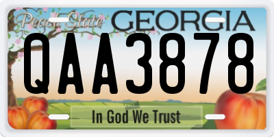GA license plate QAA3878