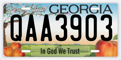 GA license plate QAA3903