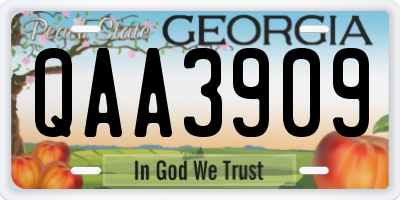 GA license plate QAA3909