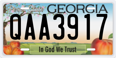GA license plate QAA3917