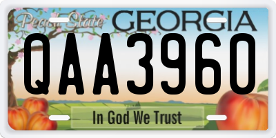 GA license plate QAA3960
