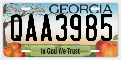 GA license plate QAA3985