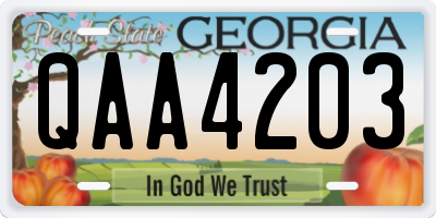 GA license plate QAA4203