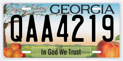 GA license plate QAA4219