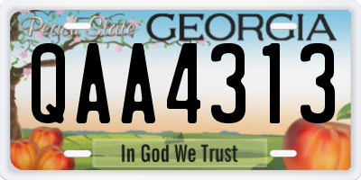 GA license plate QAA4313