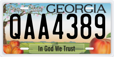 GA license plate QAA4389