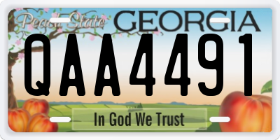 GA license plate QAA4491