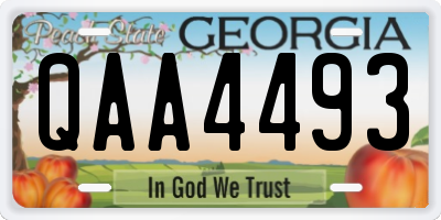 GA license plate QAA4493