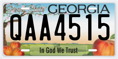 GA license plate QAA4515