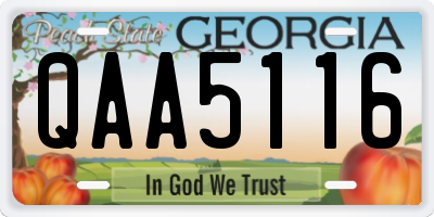 GA license plate QAA5116