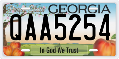 GA license plate QAA5254