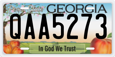 GA license plate QAA5273