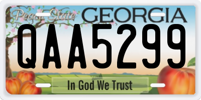 GA license plate QAA5299