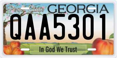 GA license plate QAA5301