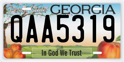 GA license plate QAA5319