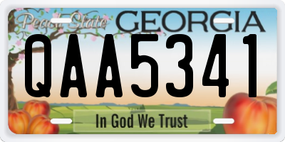 GA license plate QAA5341