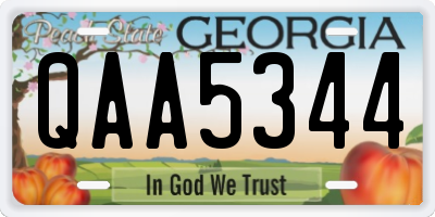 GA license plate QAA5344
