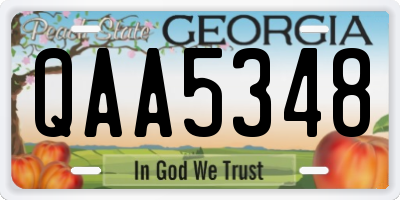 GA license plate QAA5348