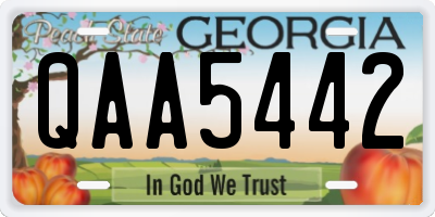 GA license plate QAA5442