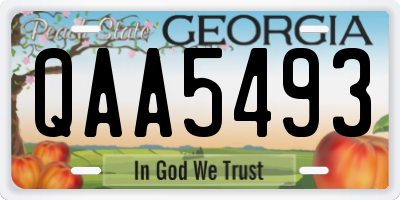 GA license plate QAA5493