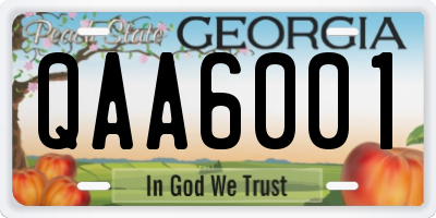 GA license plate QAA6001
