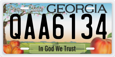 GA license plate QAA6134
