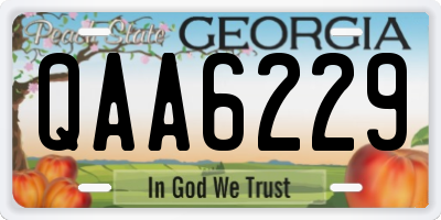 GA license plate QAA6229