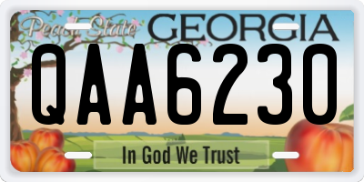 GA license plate QAA6230