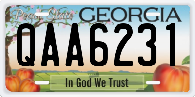GA license plate QAA6231