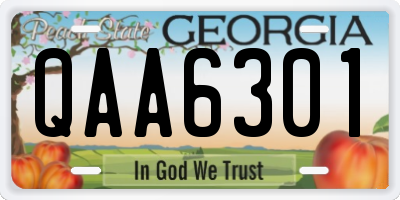 GA license plate QAA6301