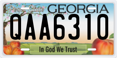 GA license plate QAA6310