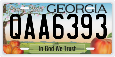 GA license plate QAA6393