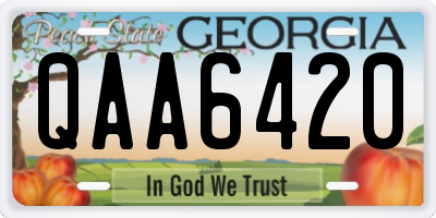 GA license plate QAA6420