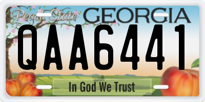 GA license plate QAA6441