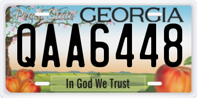 GA license plate QAA6448
