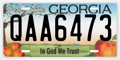 GA license plate QAA6473