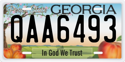 GA license plate QAA6493